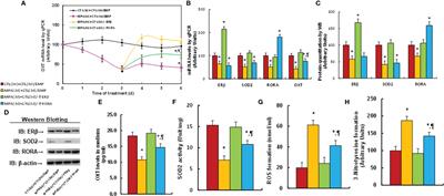 Prenatal Progestin Exposure-Mediated Oxytocin Suppression Contributes to Social Deficits in Mouse Offspring